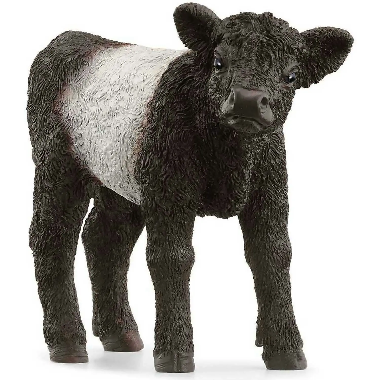 Schleich - Galloway Calf