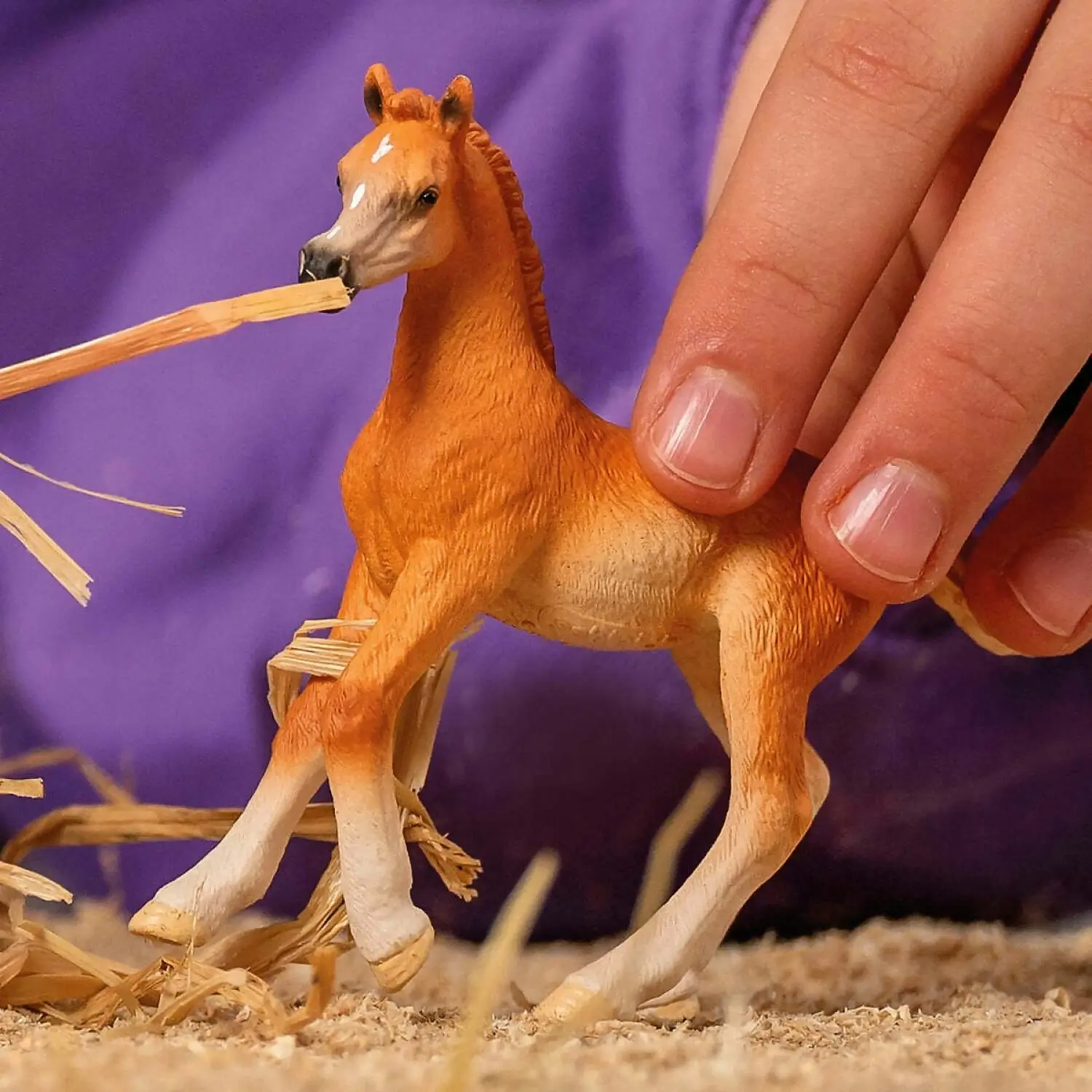 Schleich - Arab Foal