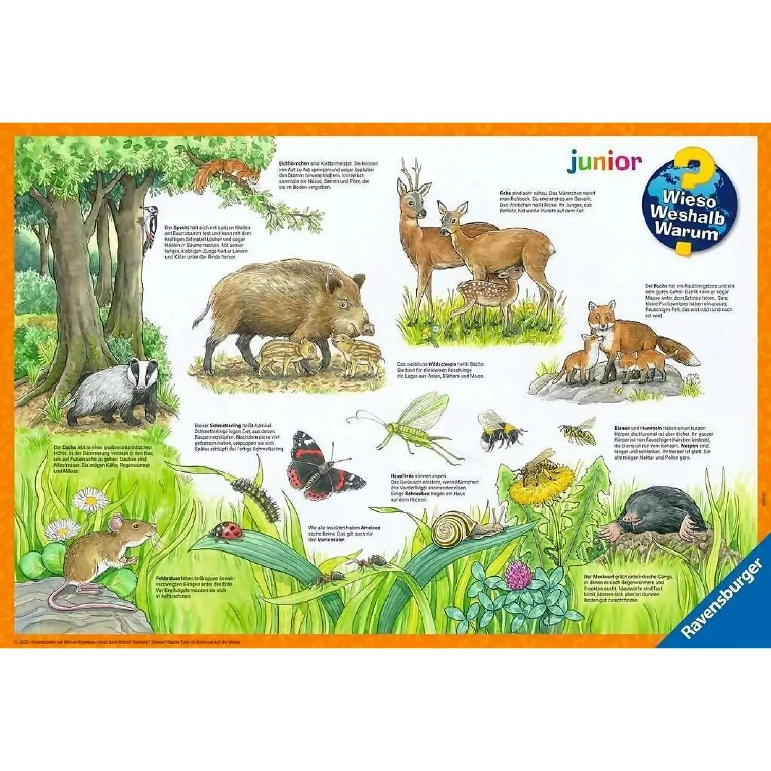 Ravensburger - Animals In The Forest And On The Meadow Jigsaw Puzzle 2 X 12pc