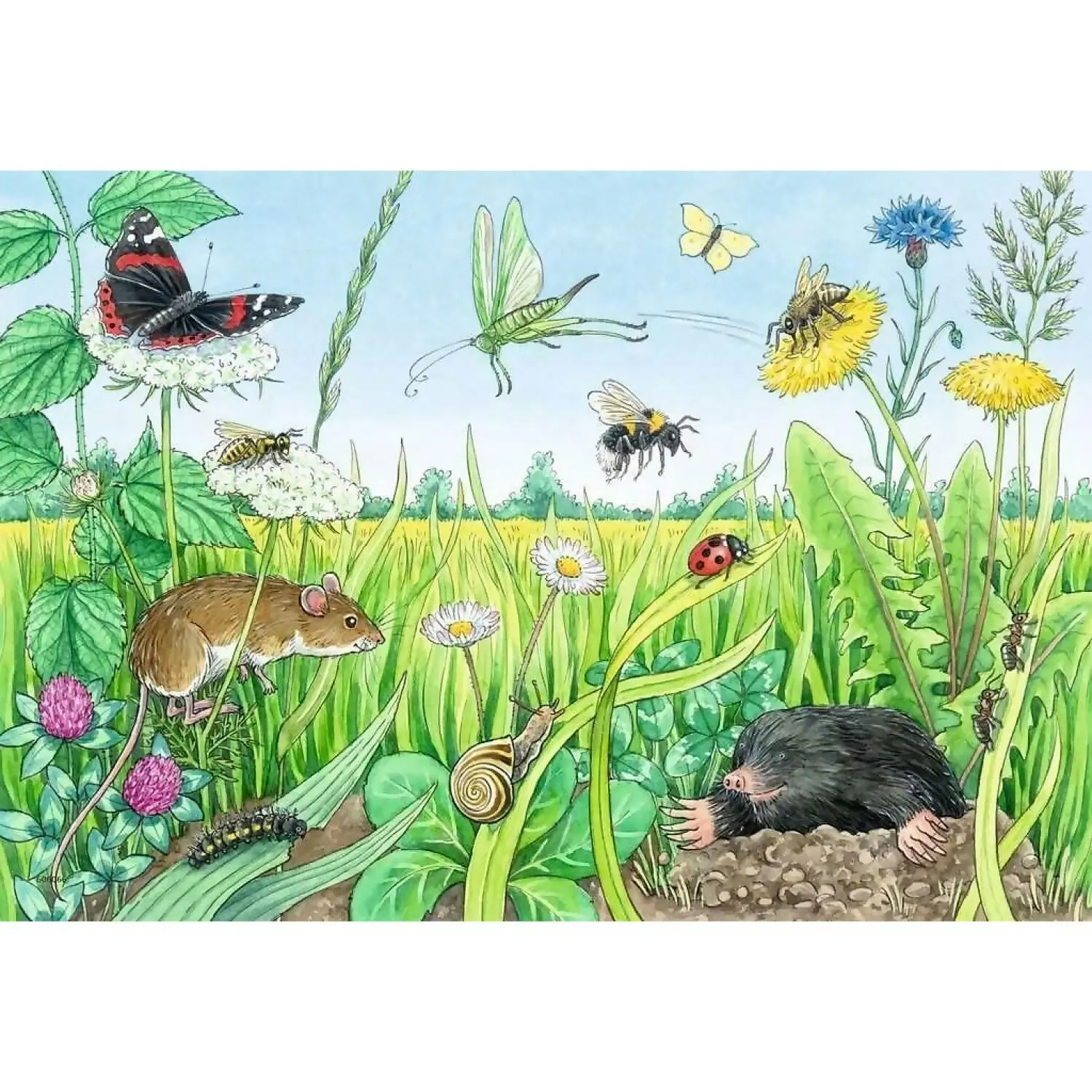 Ravensburger - Animals In The Forest And On The Meadow Jigsaw Puzzle 2 X 12pc