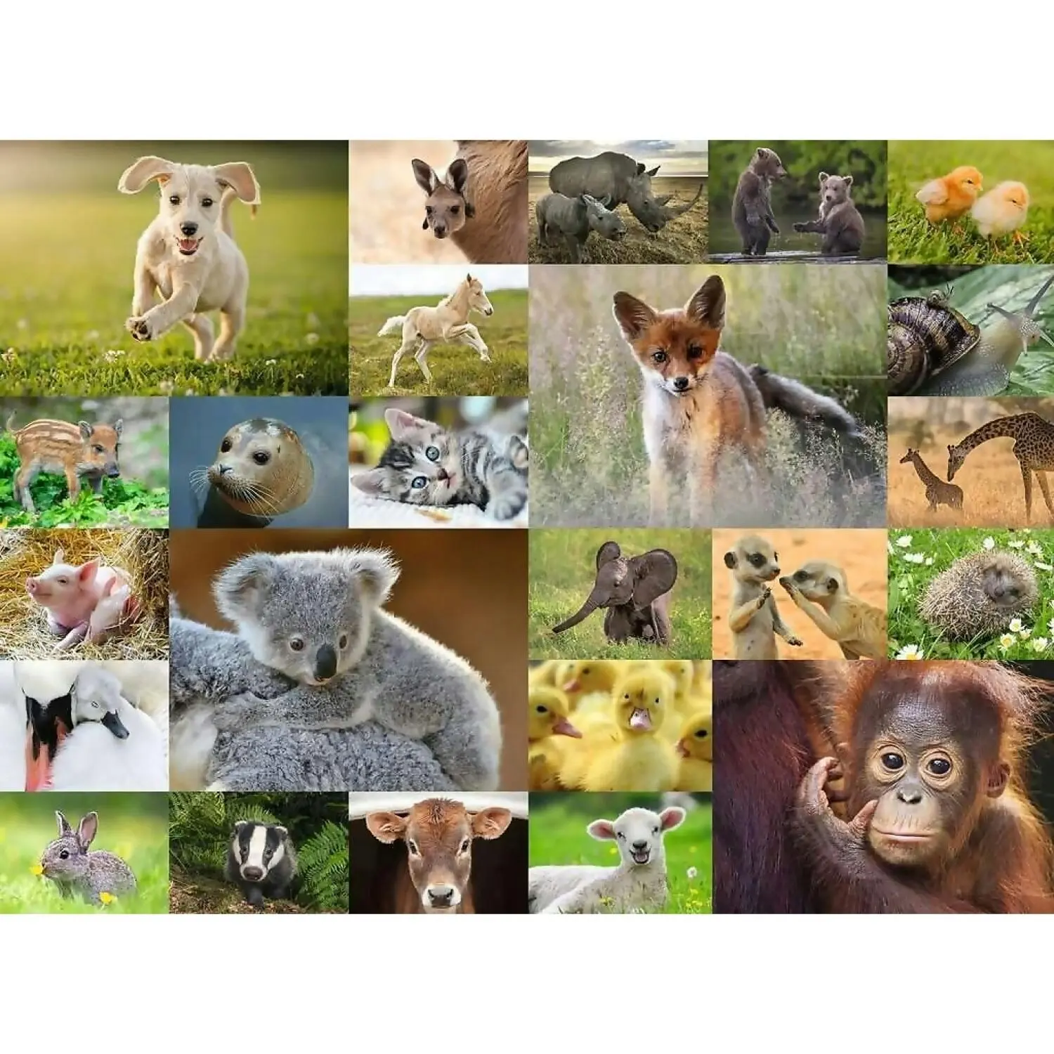 Ravensburger - Cute Baby Animals XXL Jigsaw Puzzle 200pc