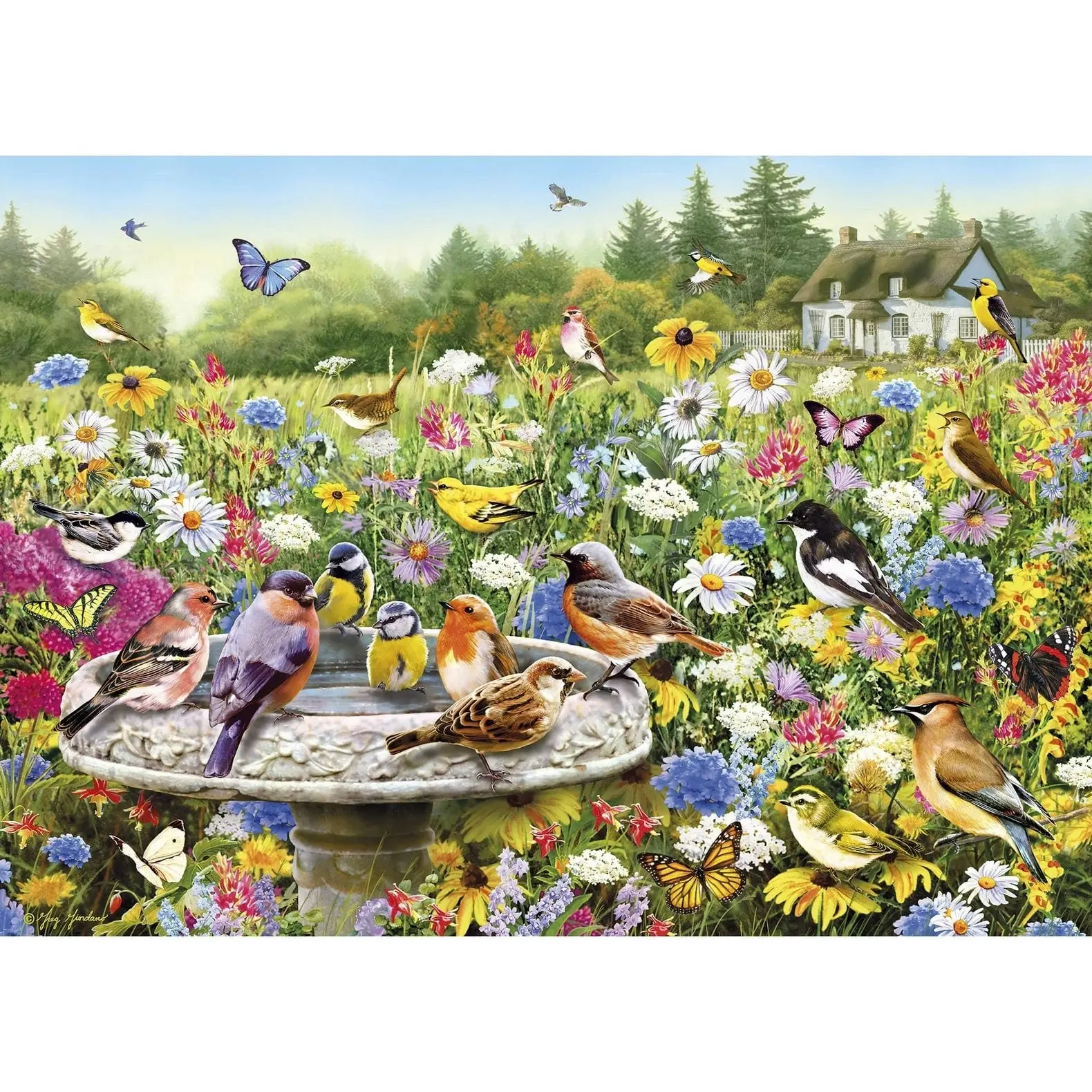 Gibsons - The Secret Garden Jigsaw Puzzle 1000pc