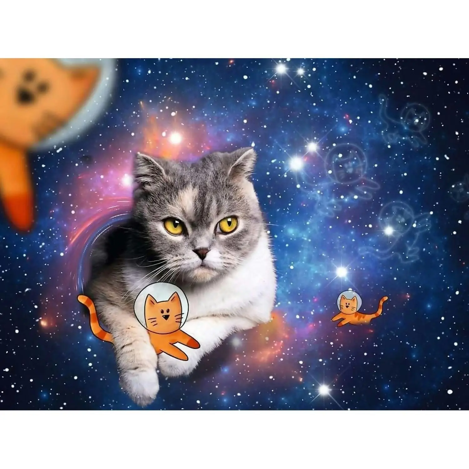 Ravensburger - Cats In Outer Space Jigsaw Puzzle 1500pc