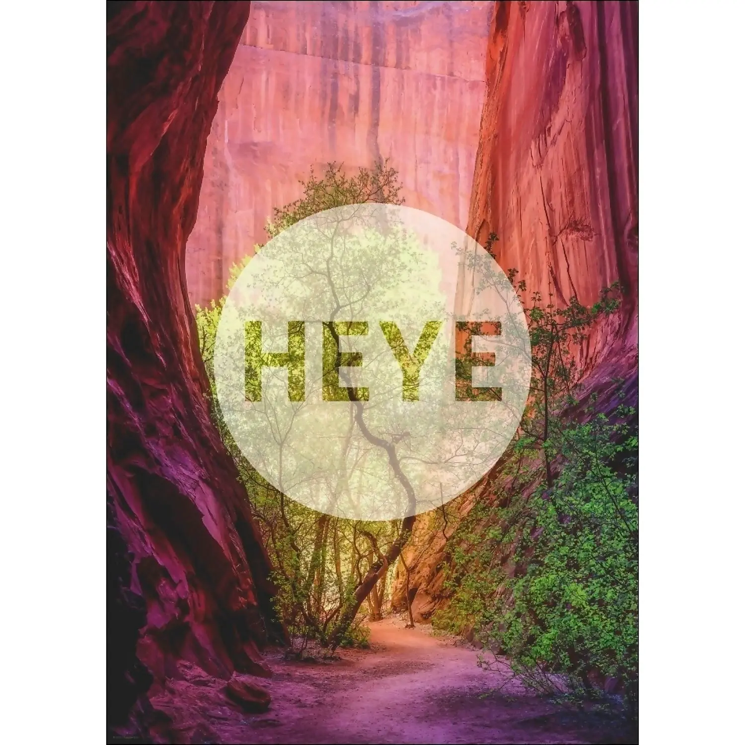 Heye - Power Of Nature Singing Canyon Jigsaw Puzzle 1000pc