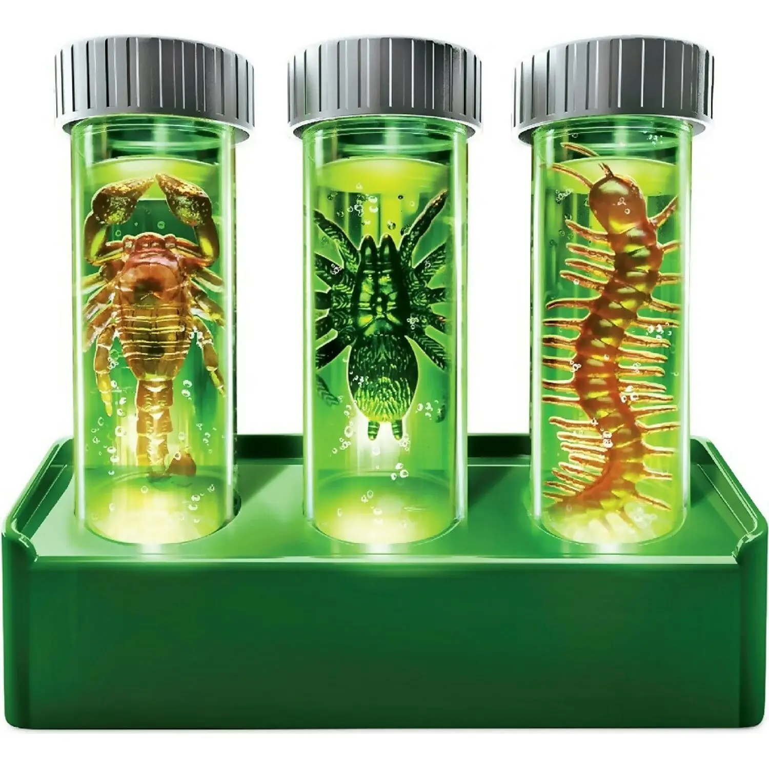 4M - Kidzlabs Glow Critter Lab - Johnco