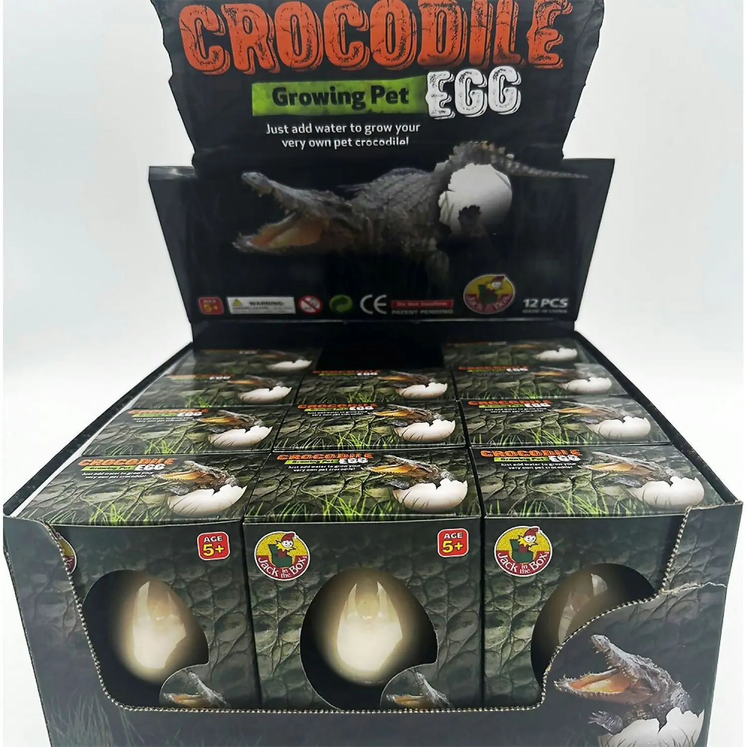 Jack In the Box - Growing Pet Crocodile Egg X 1 Only