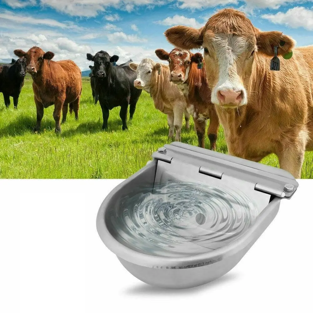 Water Trough Bowl Automatic Drinking Bowl For Dog Horse Chicken Auto Fill