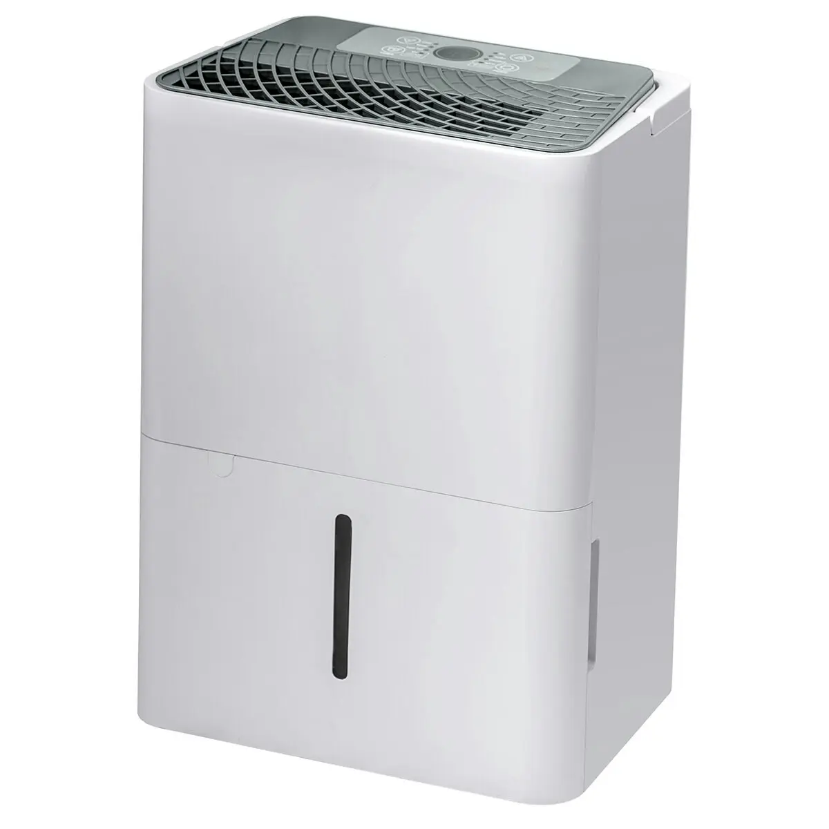 Dimplex 12L Dehumidifier with Air Purifier