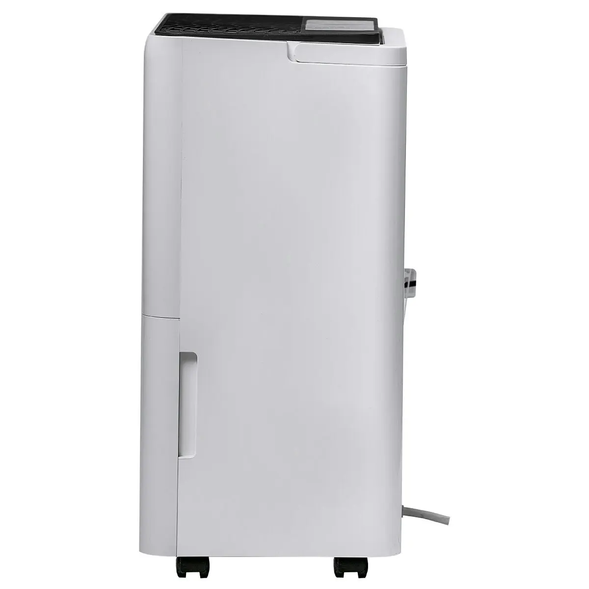 Dimplex 12L Dehumidifier with Air Purifier