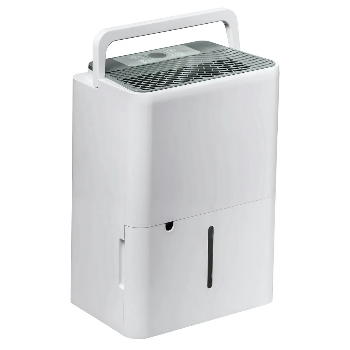 Dimplex 12L Dehumidifier with Air Purifier