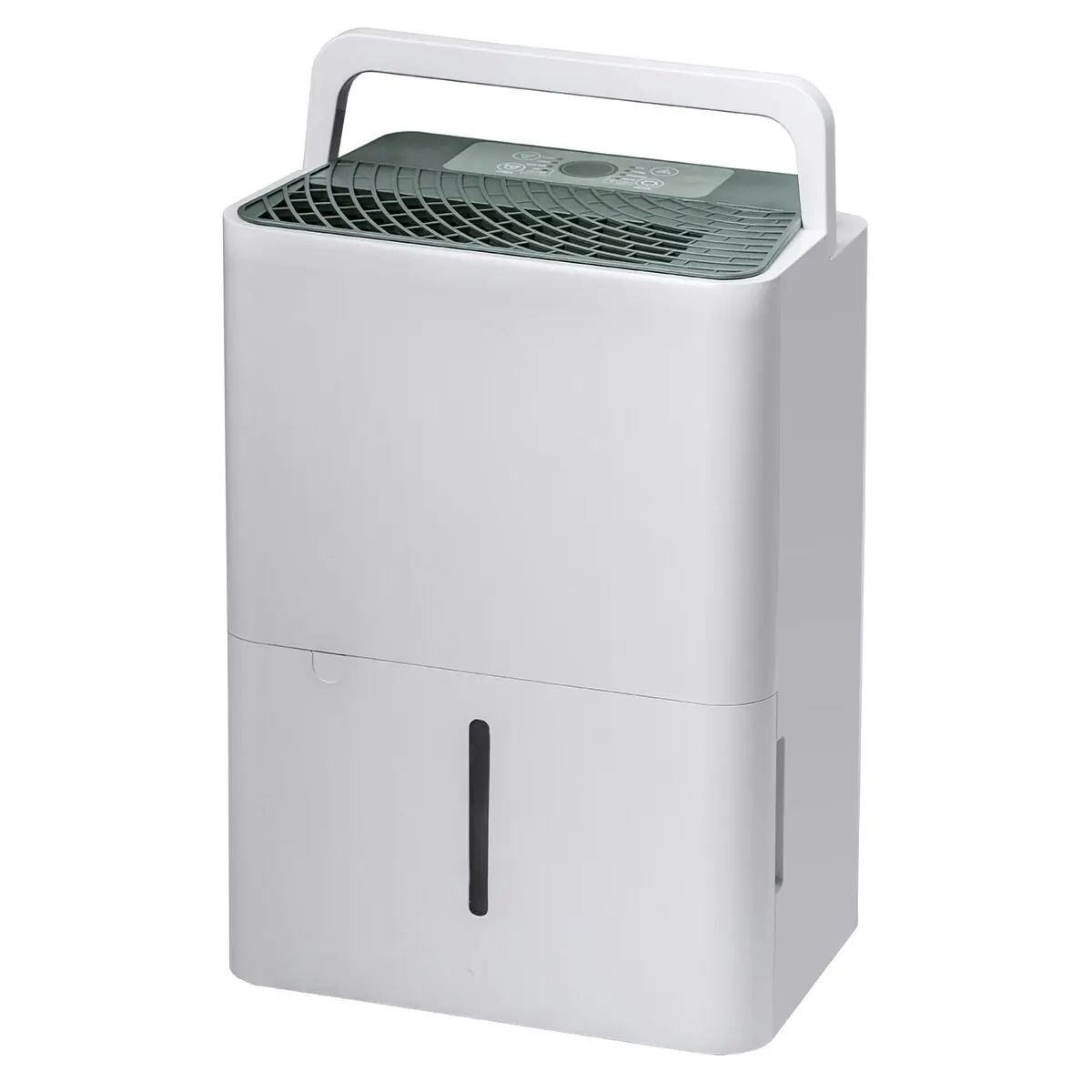 Dimplex 12L Dehumidifier with Air Purifier