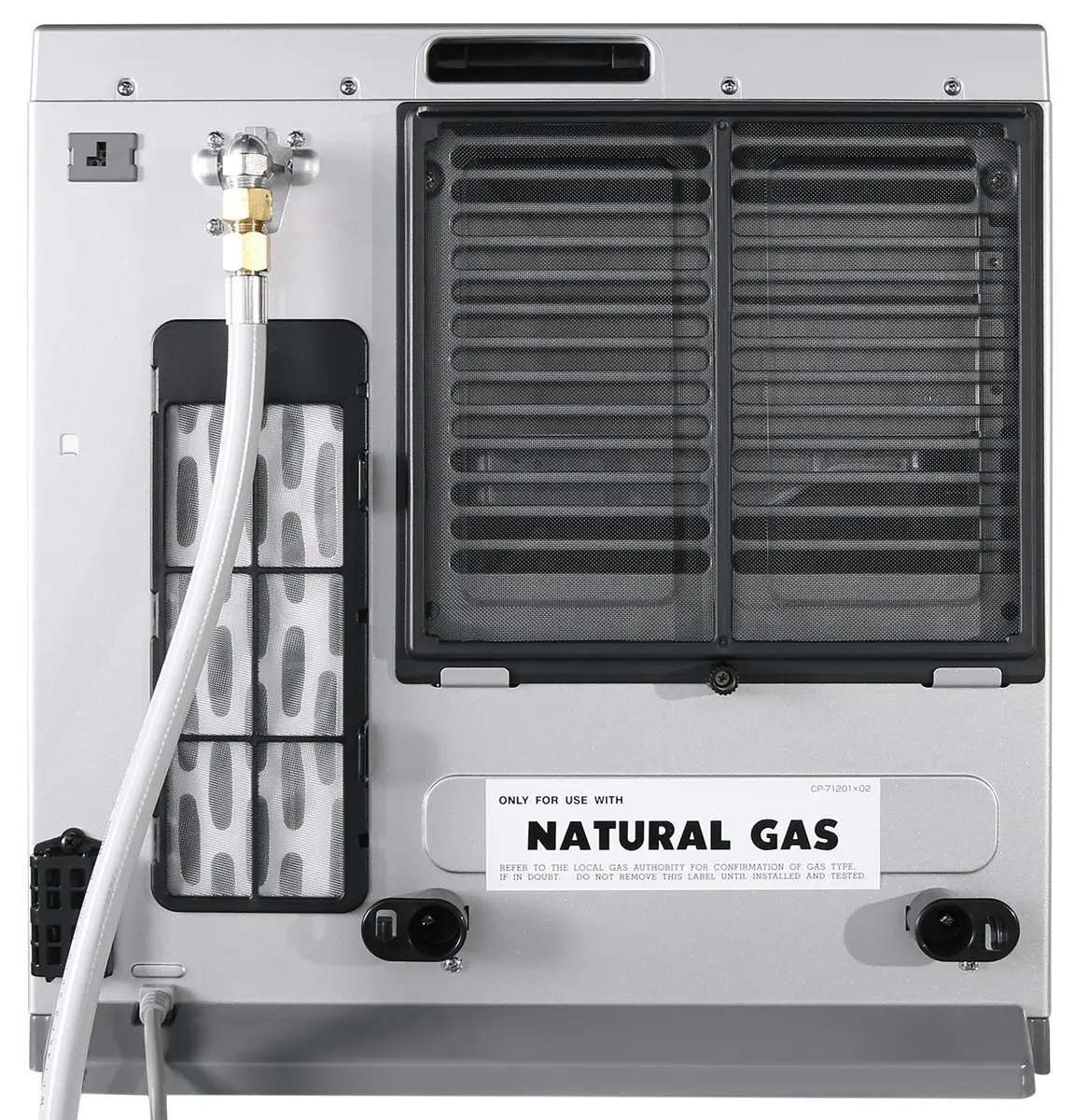 Rinnai Dynamo Natural Gas Heater