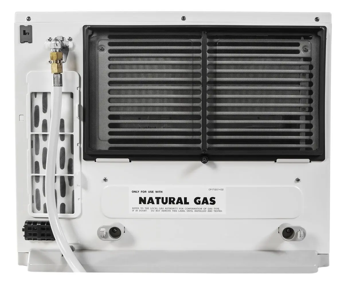 Rinnai Avenger Natural Gas Heater