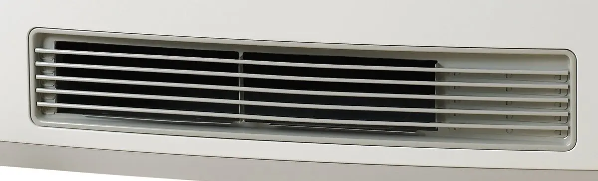 Rinnai Avenger LPG Heater