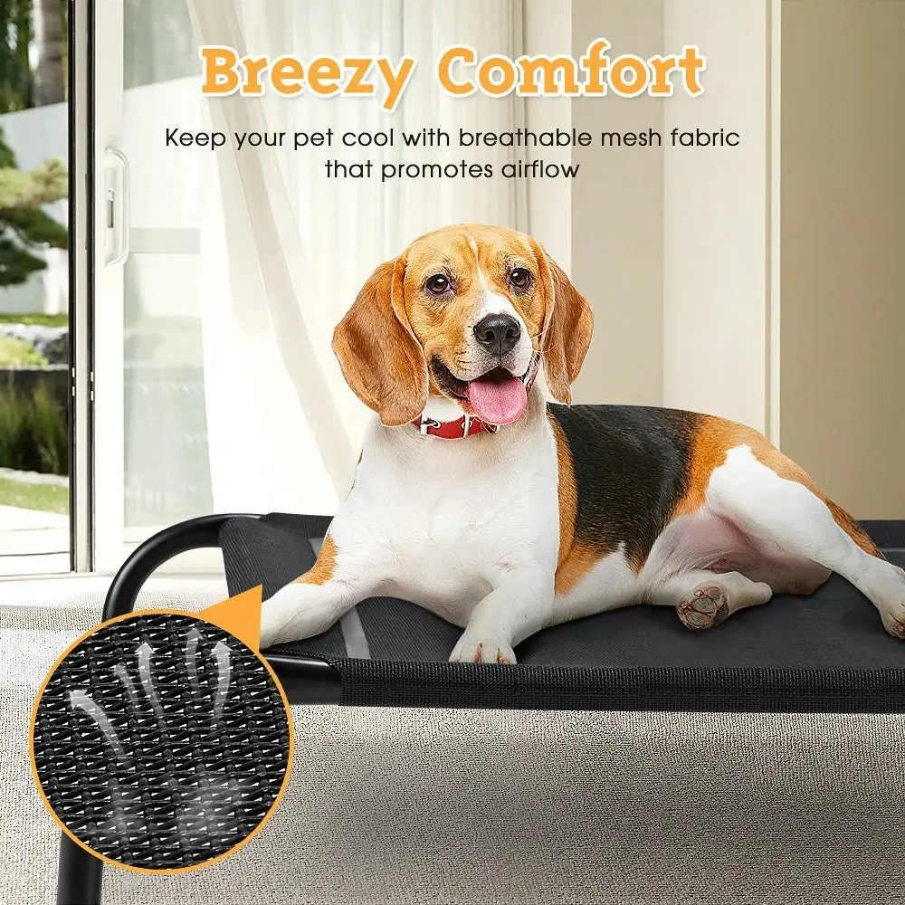 Petzly Cooling Elevated Pet Dog Bed for Large Dog Washable Breathable Mesh Black