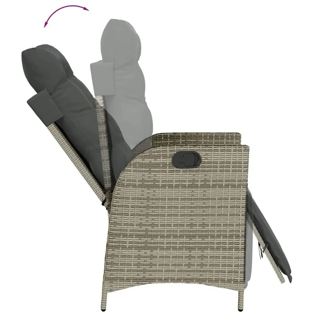 9 Piece Garden Dining Set with Cushions Grey Poly Rattan 3213084