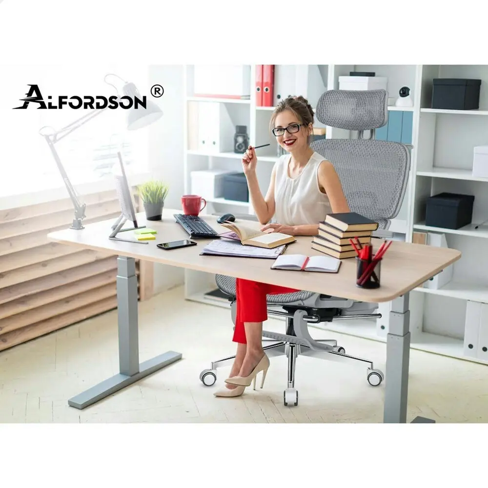 Alfordson Ergonomic Office Chair Executive Grey