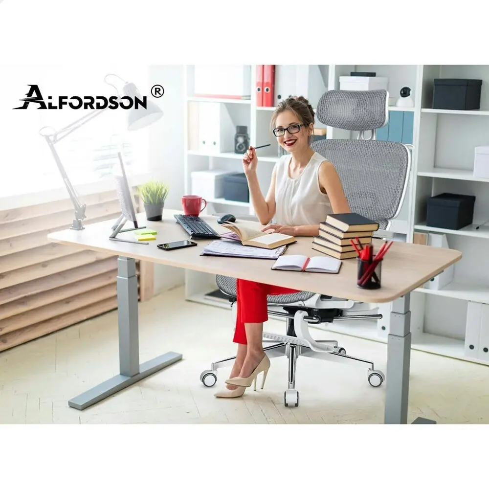 Alfordson Ergonomic Office Chair Executive White Grey