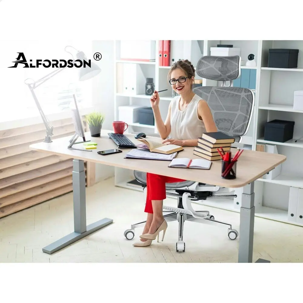 Alfordson Ergonomic Office Chair Executive Grey White