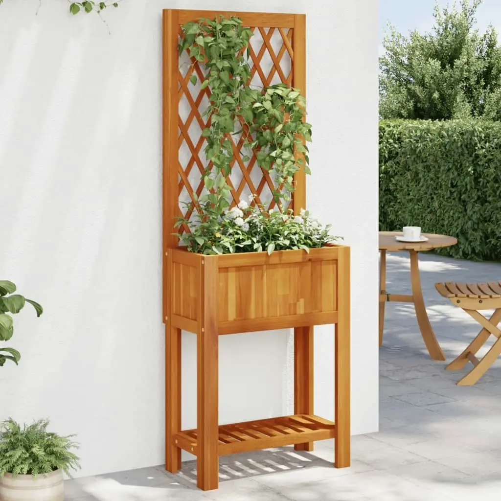 Planter with Trellis and Shelf 55x29.5x152 cm Solid Wood Acacia 364898