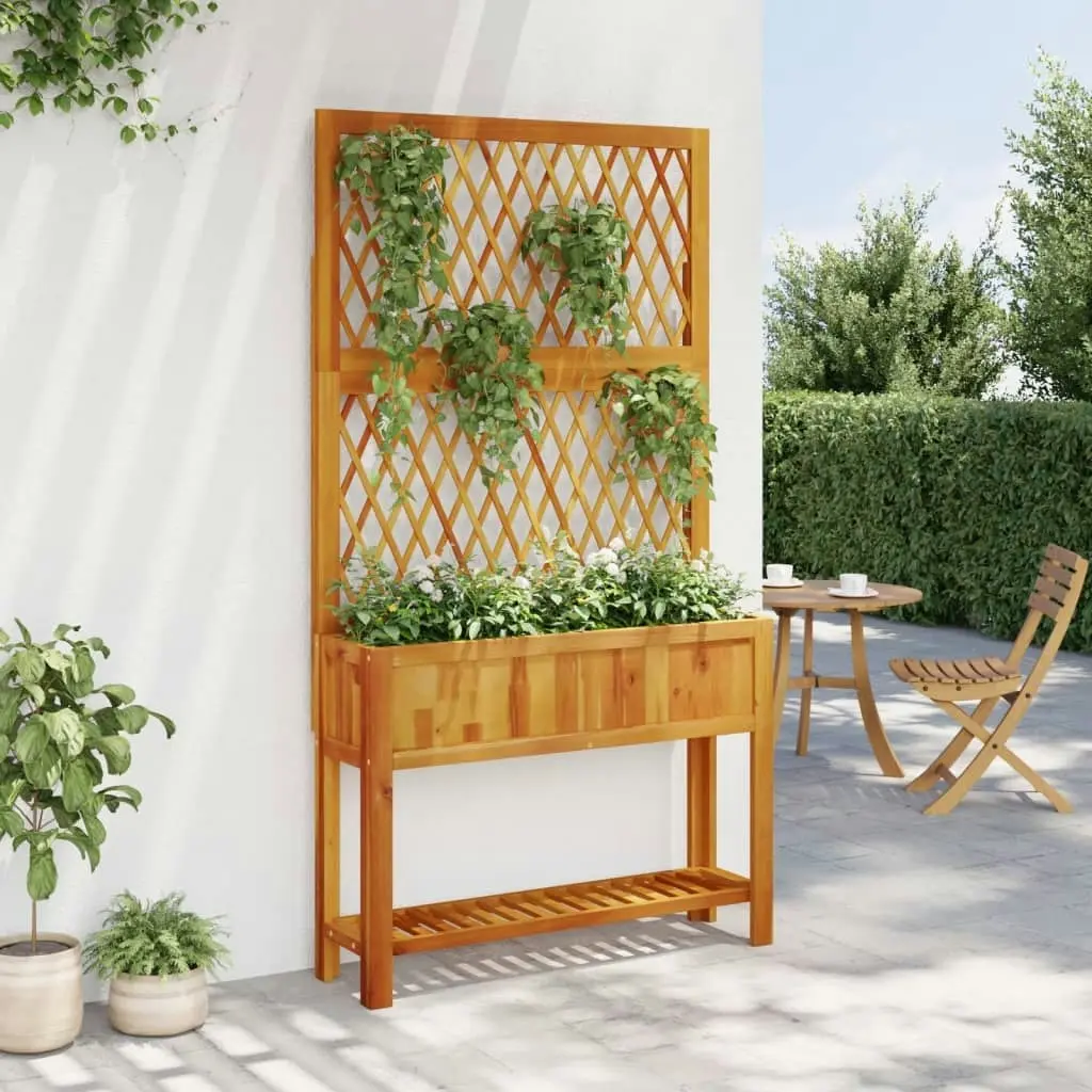 Planter with Trellis and Shelf 100x32x185 cm Solid Wood Acacia 364899