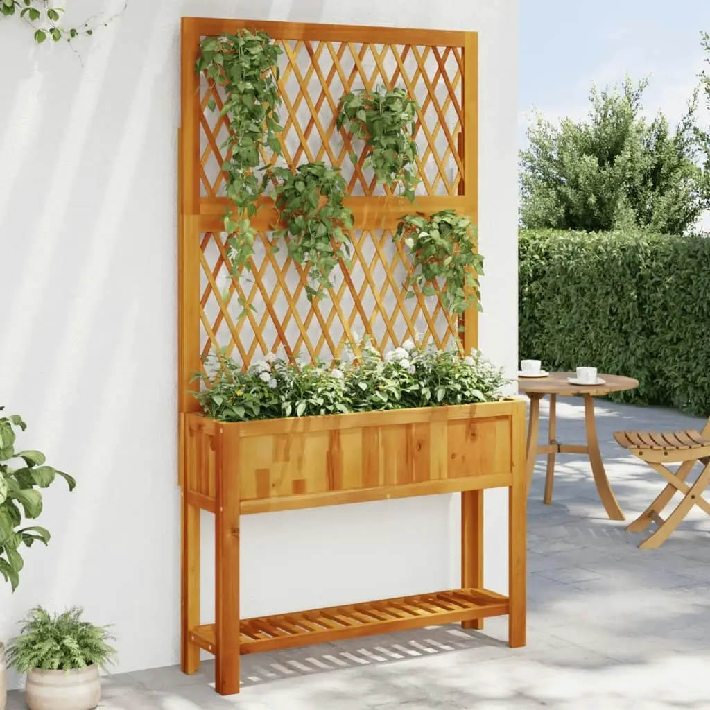 Planter with Trellis and Shelf 100x32x185 cm Solid Wood Acacia 364899