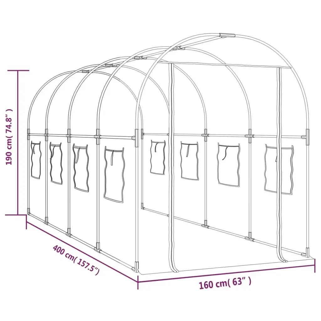 Greenhouse Transparent 160x400x190 cm PVC&Powder-coated Steel 317247