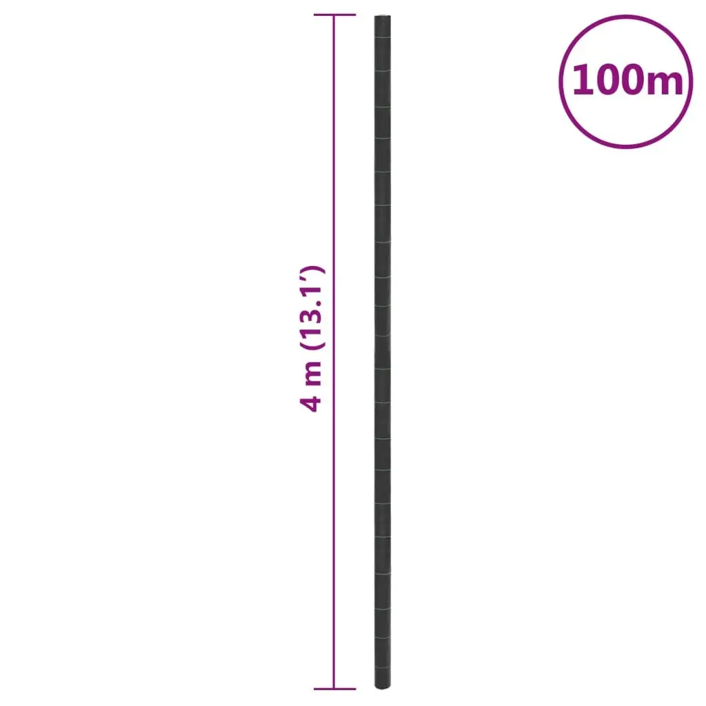 Weed Membrane Black 4x100 m PP 4005168