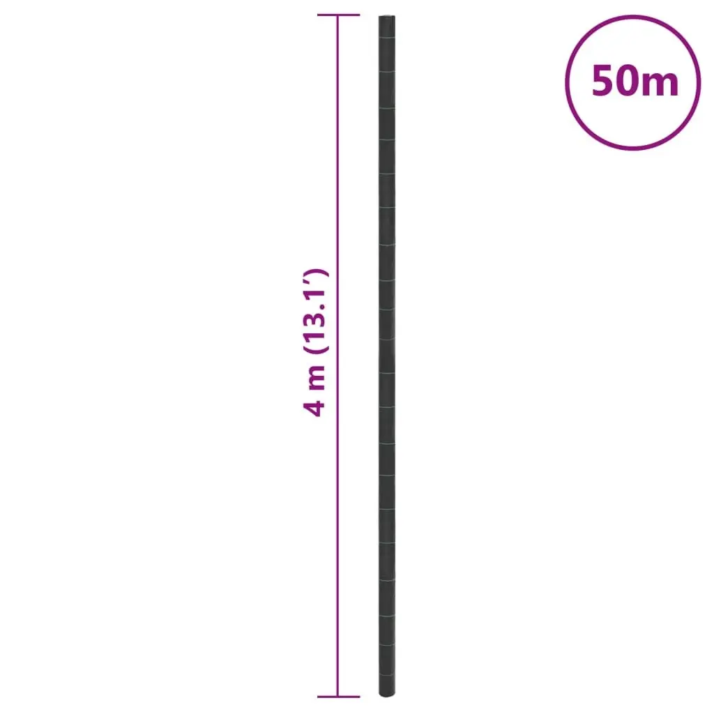 Weed Membrane Black 4x50 m PP 4005167