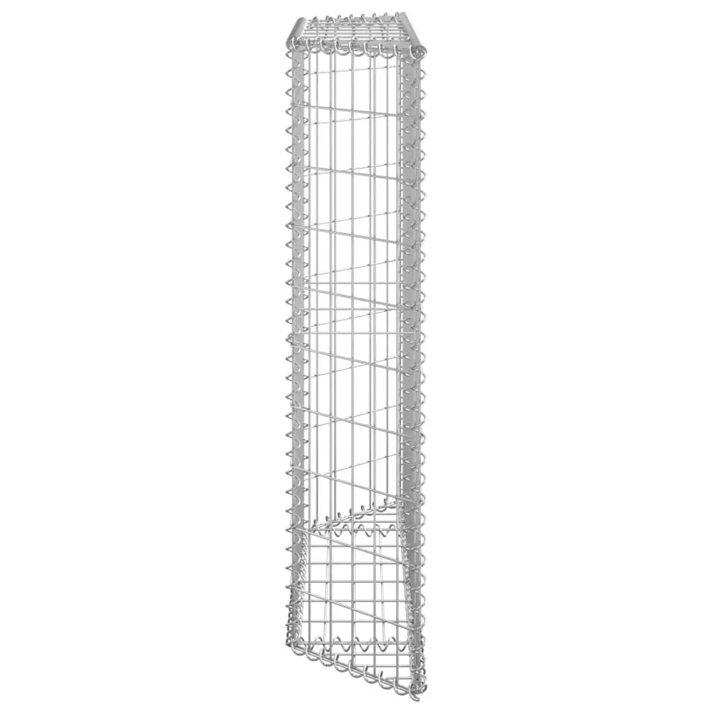 Trapezium Gabion Raised Bed Galvanised Steel 100x20x100 cm 145653