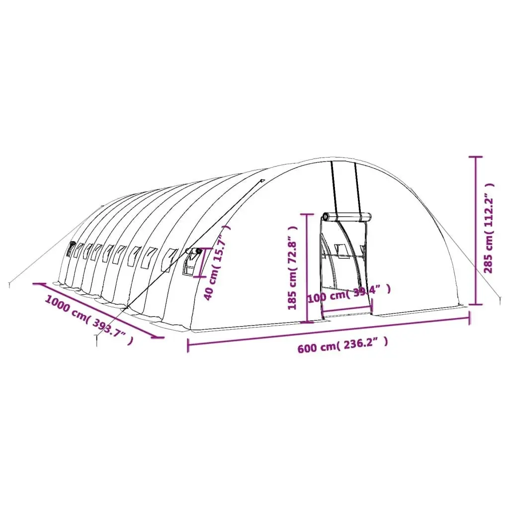 Greenhouse with Steel Frame White 60 mÂ² 10x6x2.85 m 3188119