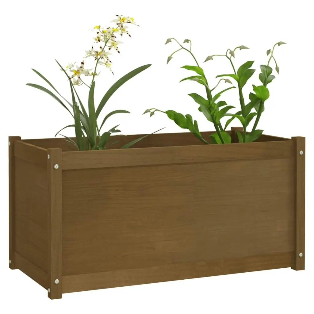 Garden Planter Honey Brown 100x50x50 cm Solid Pinewood 810730