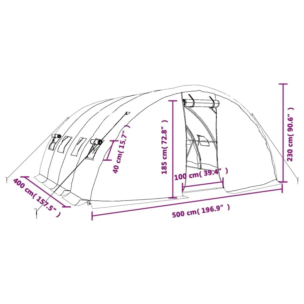 Greenhouse with Steel Frame White 20 m² 5x4x2.3 m 3188094