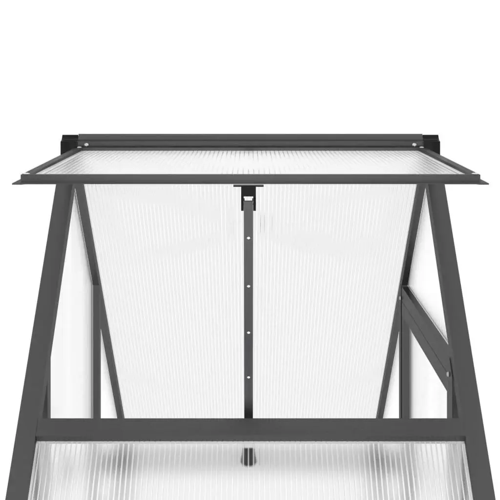 Greenhouse with Base Frame Anthracite 169x58x195 cm Aluminium 4005818