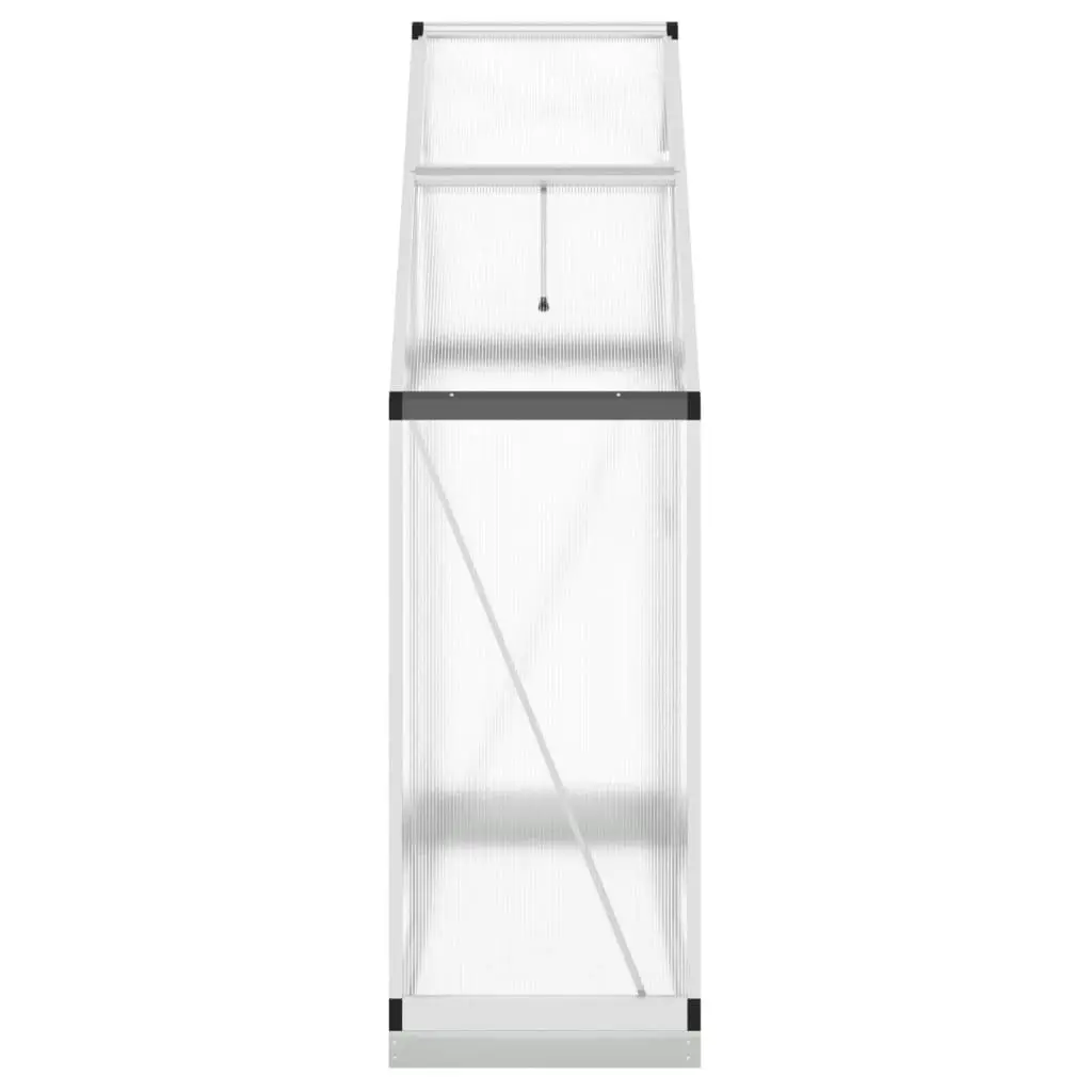 Greenhouse with Base Frame Silver 169x58x202 cm Aluminium 4005819