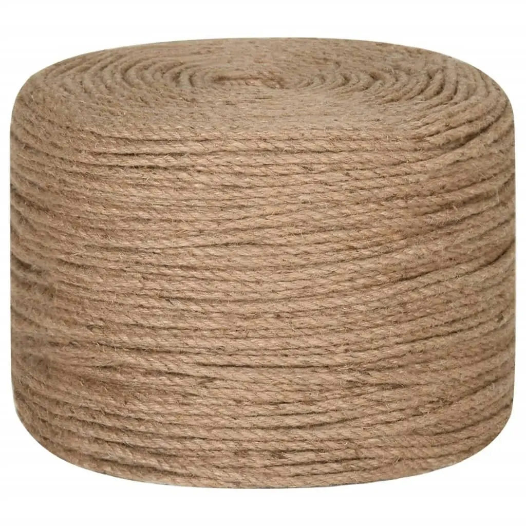 Jute Rope 50 m Long 6 mm Thick 153739