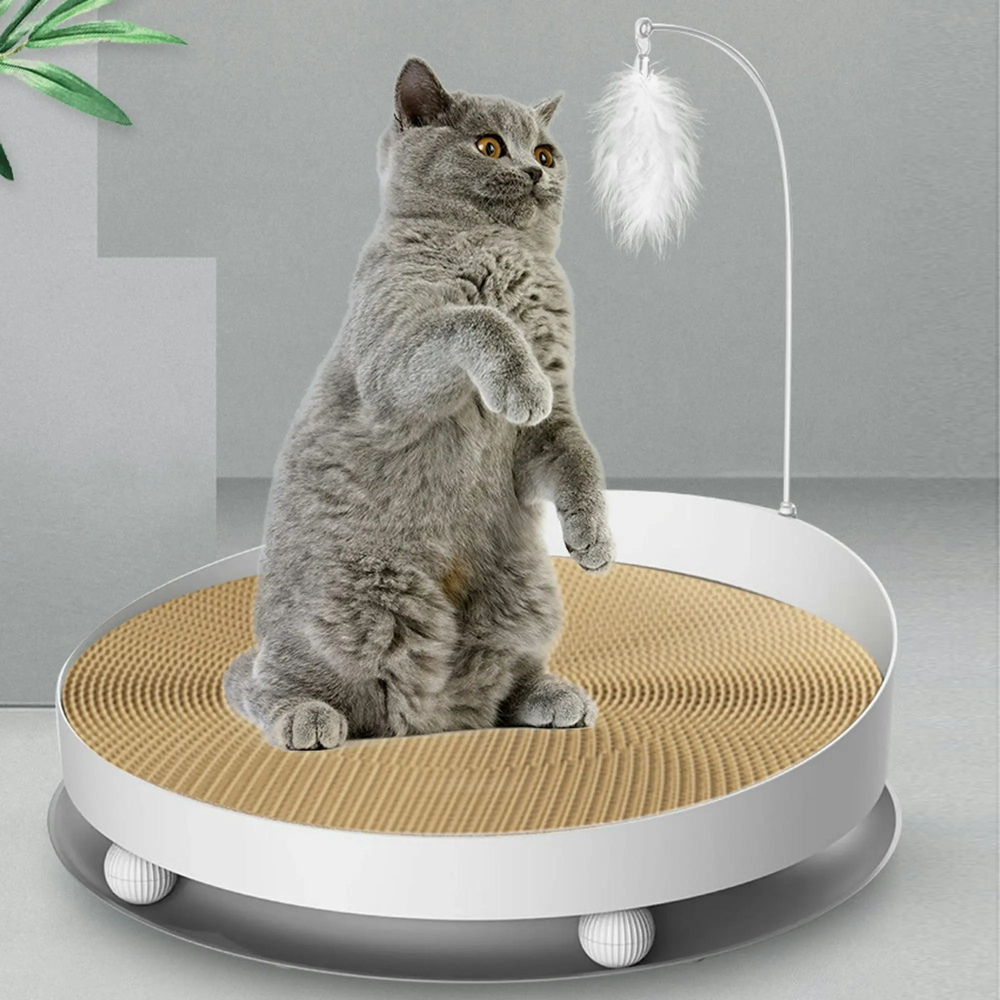 Todo Cat Scratching Tray Board Pet Scratcher Pad Play Toy 40cm Diameter