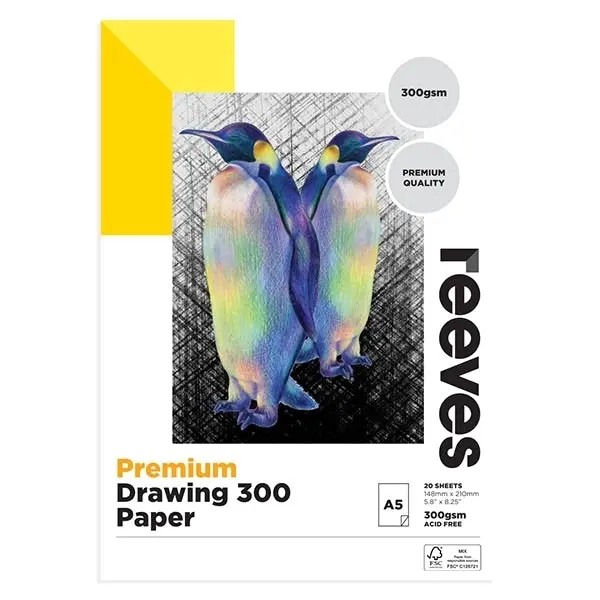 Reeves Premium Drawing Pad, 300gsm