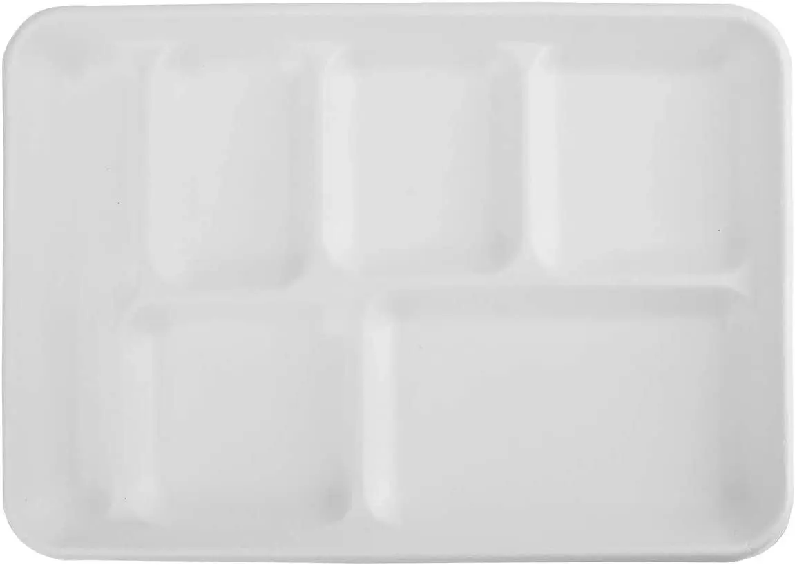 240pcs Sugarcane Bagasse 6 Compartment Lunch Paper Tray Plates 32x22cm (12.5" x 8.6") Bulk