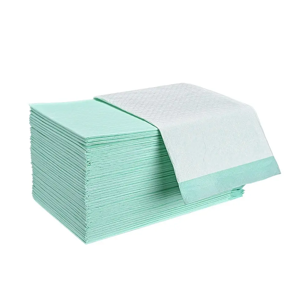 Taily Pet Training Pads 200pcs, 60x60CM Disposable Dog Pee Pads, Green Meadow