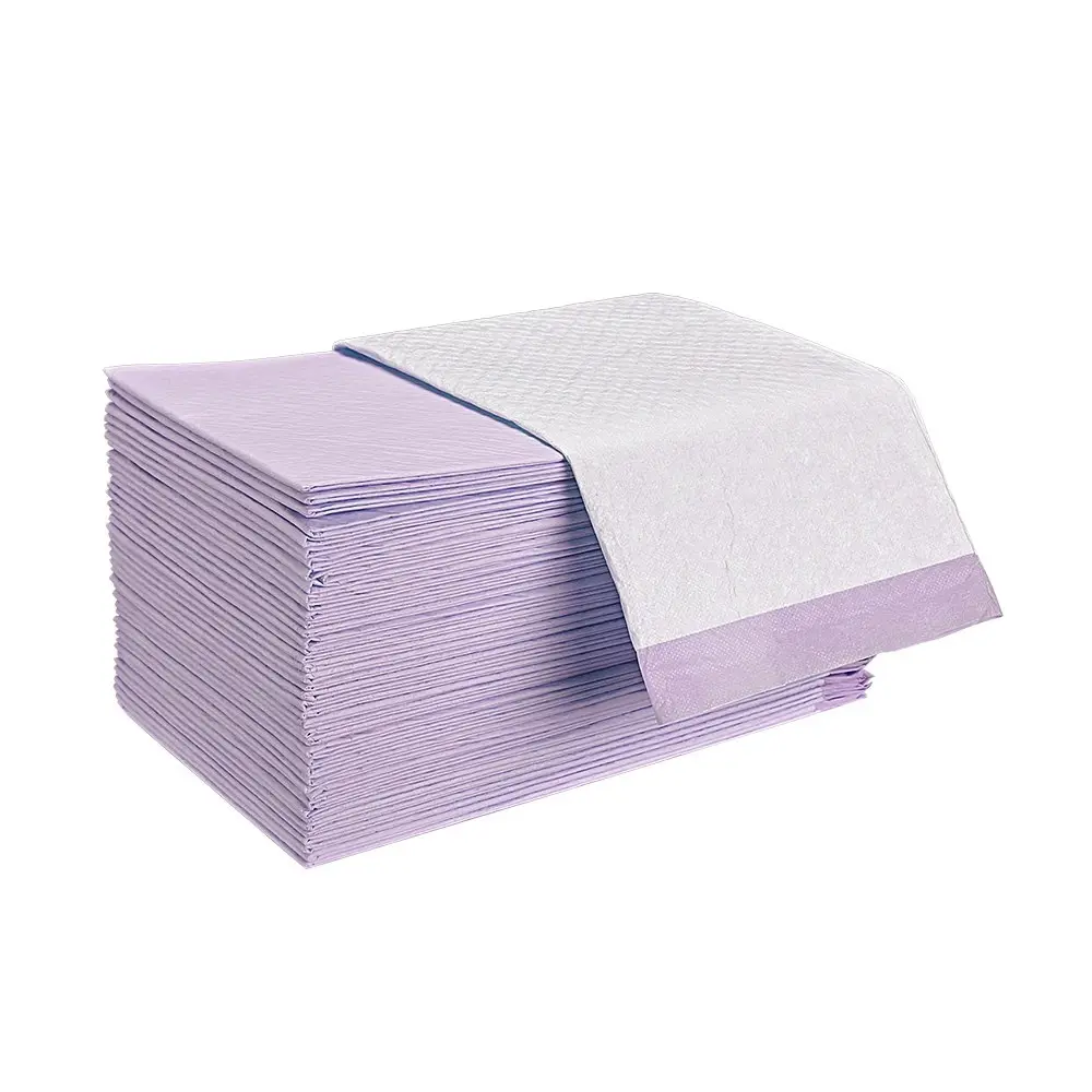 Taily Pet Training Pads 200pcs, 60x60CM Disposable Dog Pee Pad, Purple Lavender