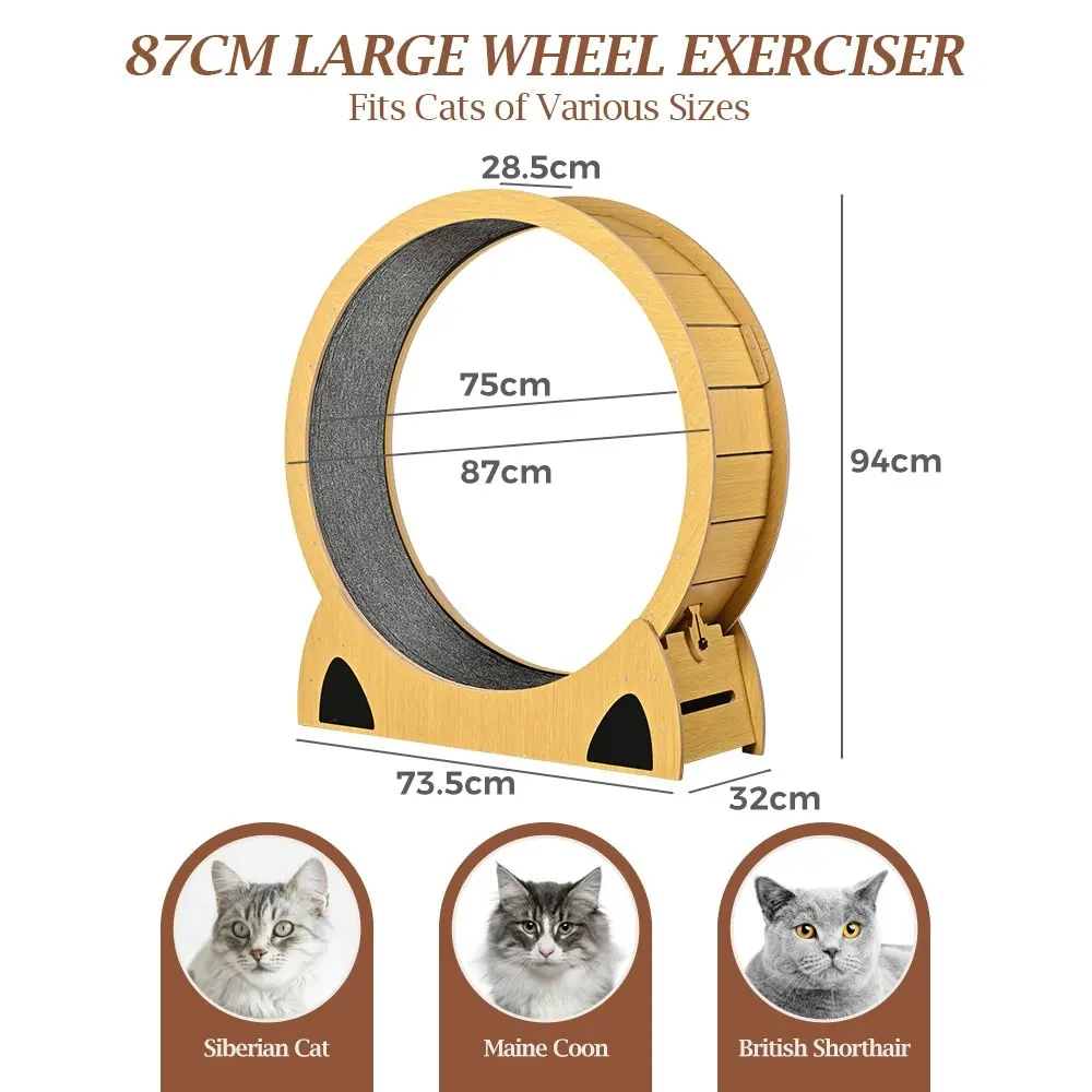 Taily Cat Exercise Wheel Cat Treadmill Cat Running Wheel Cat Scratcher Board Oak