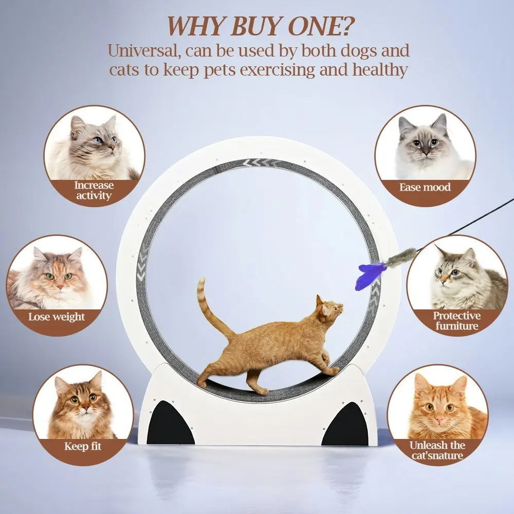 Taily Cat Exercise Wheel Cat Treadmill Cat Running Wheel Scratcher Board White