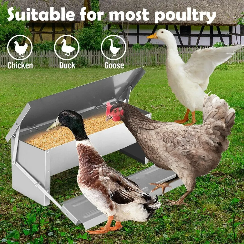 5Kg 7.5L Garden Farm Automatic Food Storage Box Stand Chicken Feeder Poultry