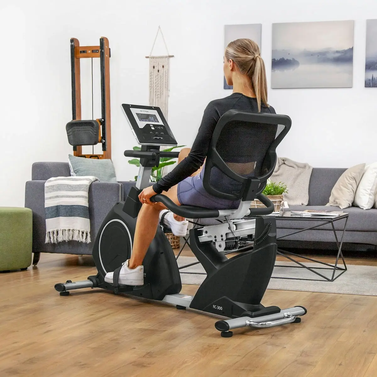 Lifespan Fitness Rc-300 Recumbent Bike