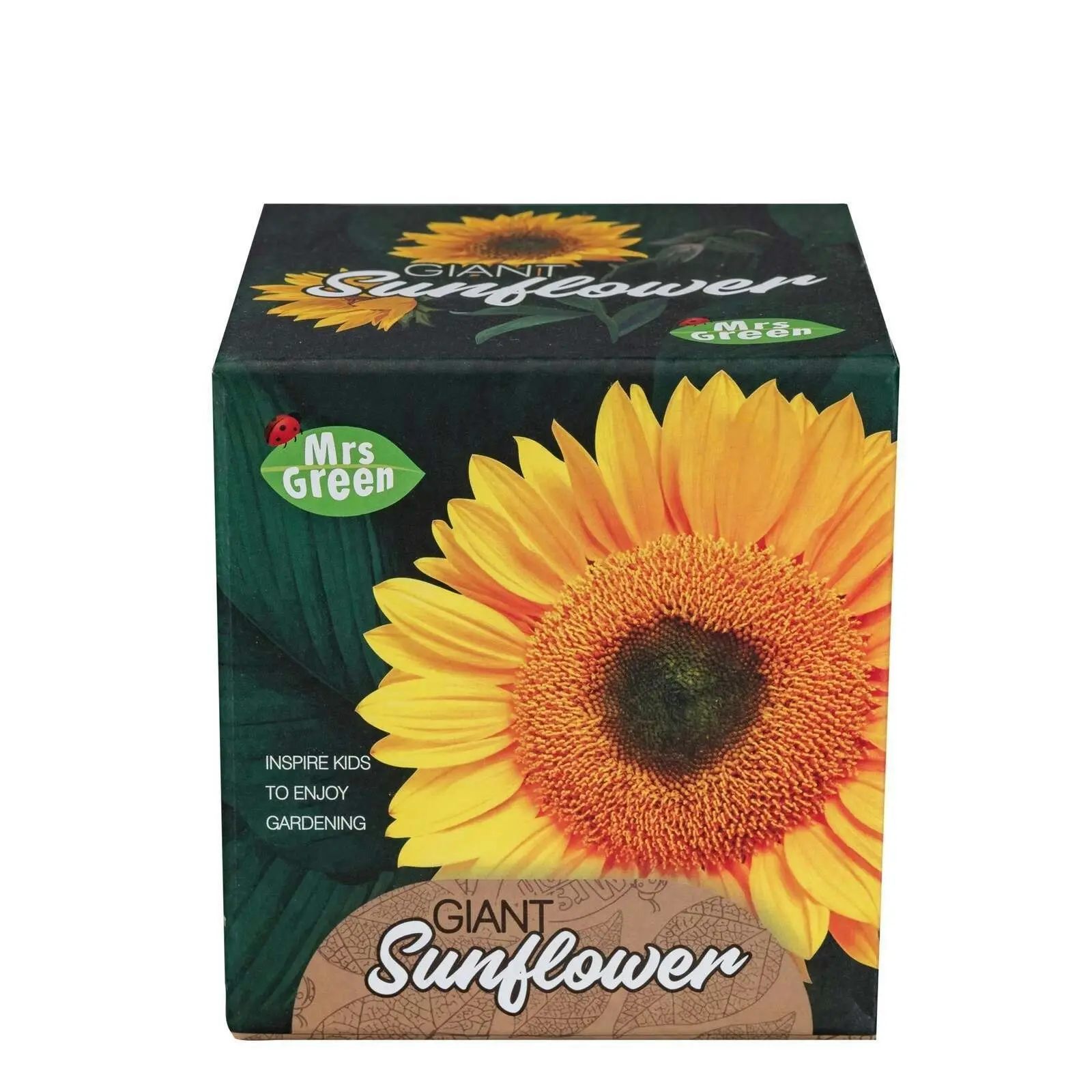 2x Mrs Green Grow YourOwn Giant Sunflower Children Activity Growing Plant Kit