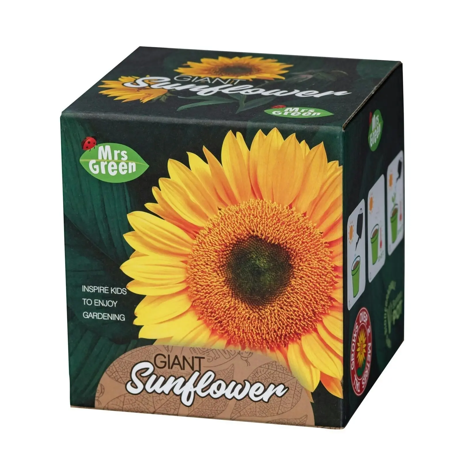 2x Mrs Green Grow YourOwn Giant Sunflower Children Activity Growing Plant Kit