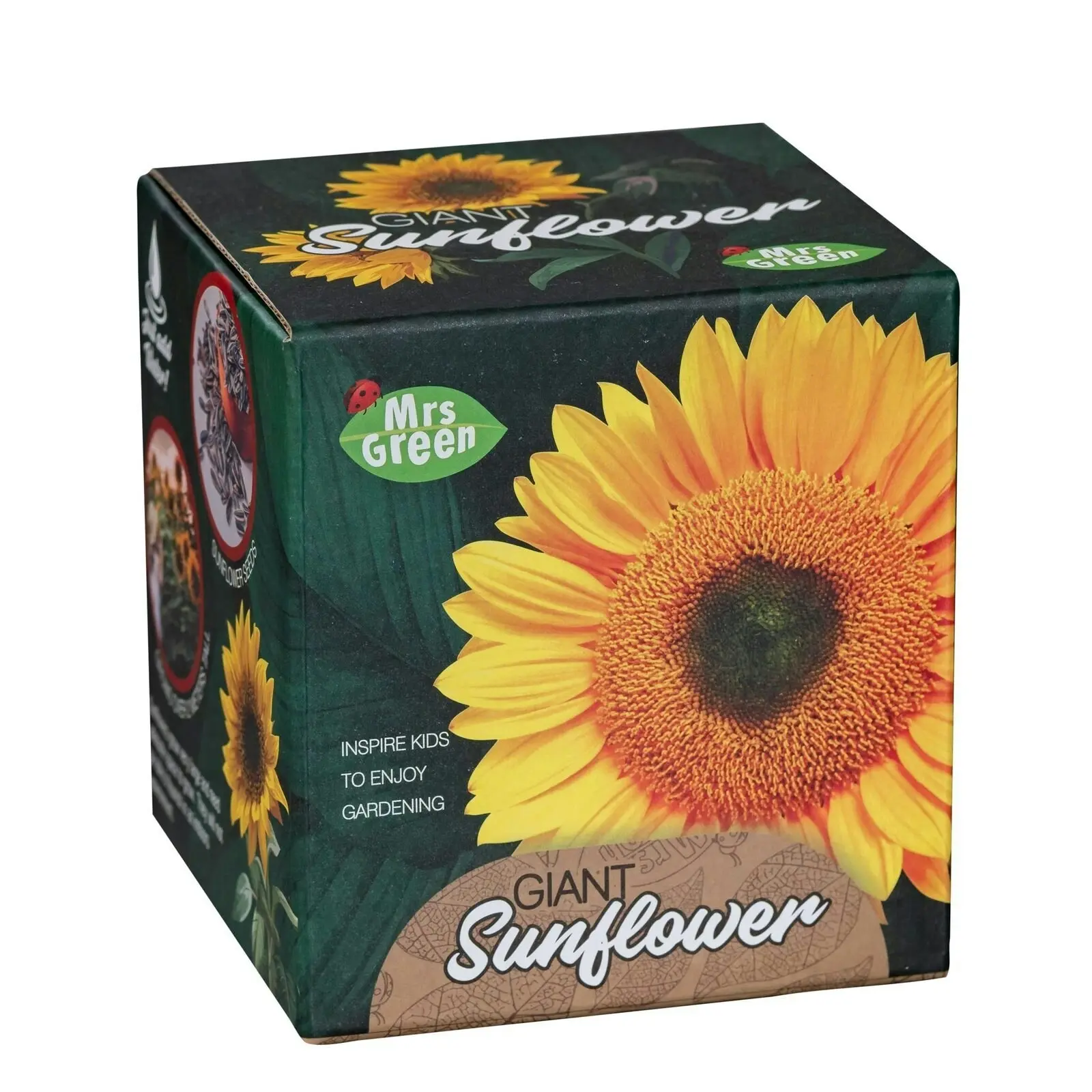 2x Mrs Green Grow YourOwn Giant Sunflower Children Activity Growing Plant Kit