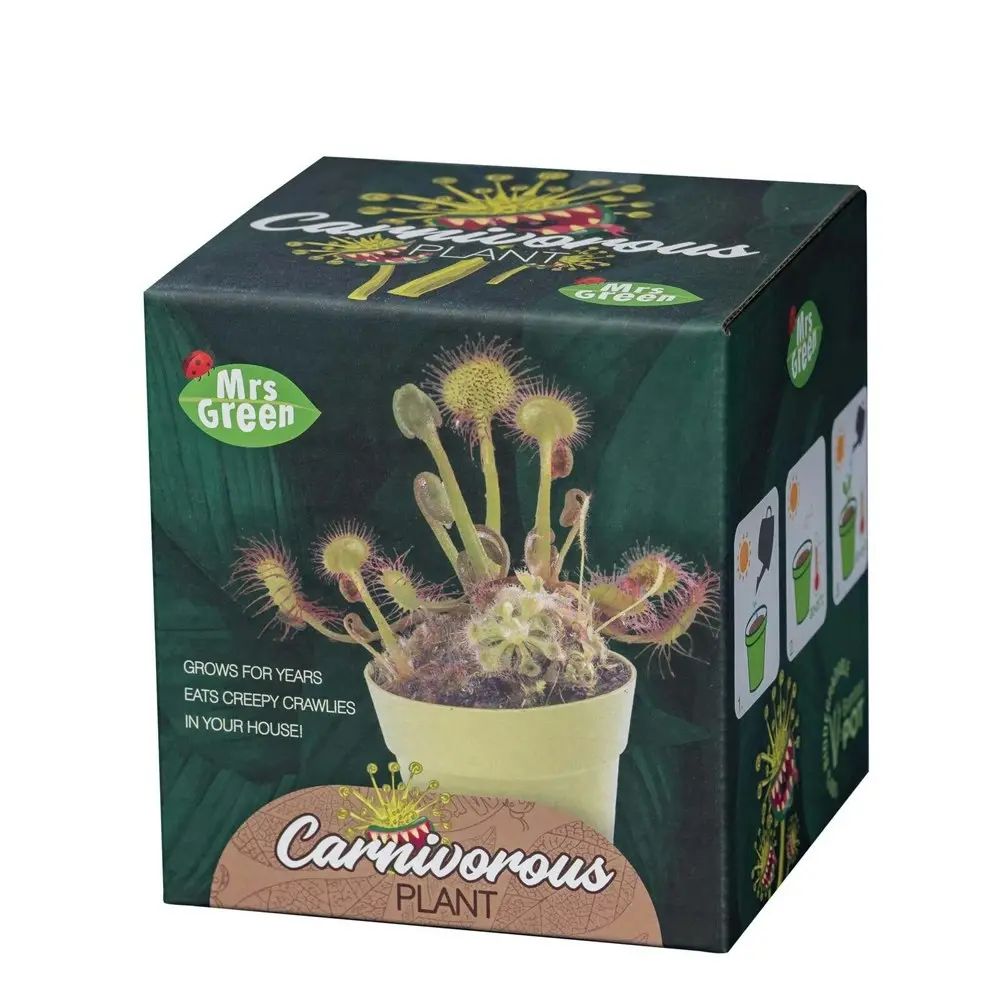 2x Mrs Green Grow Your Own Carnivorous Plant Kids/Children Activity Growing Kit