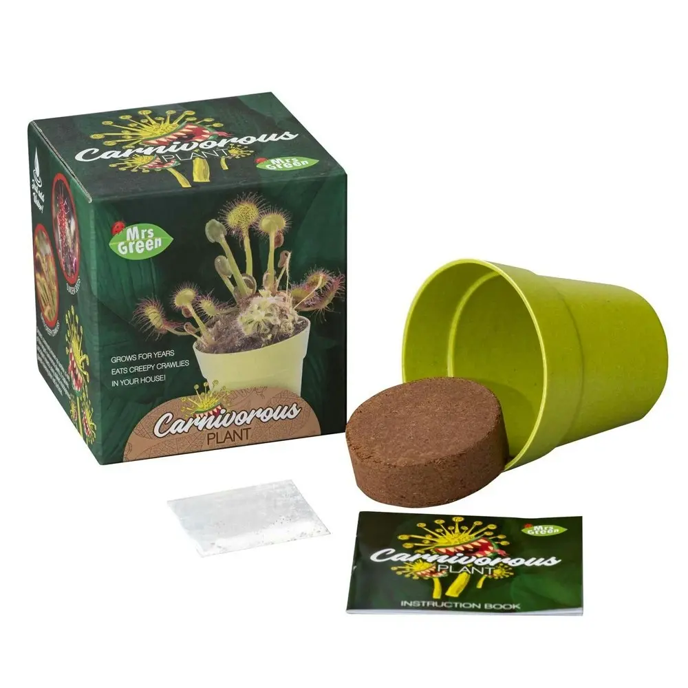 2x Mrs Green Grow Your Own Carnivorous Plant Kids/Children Activity Growing Kit